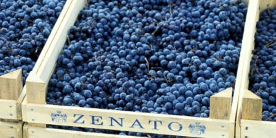 Zenato Cantina