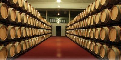 Zuazo Gaston Bodegas y Viñedos