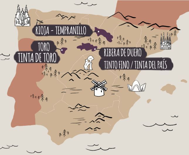 Tempranillo names used in the different wine regions in Spain