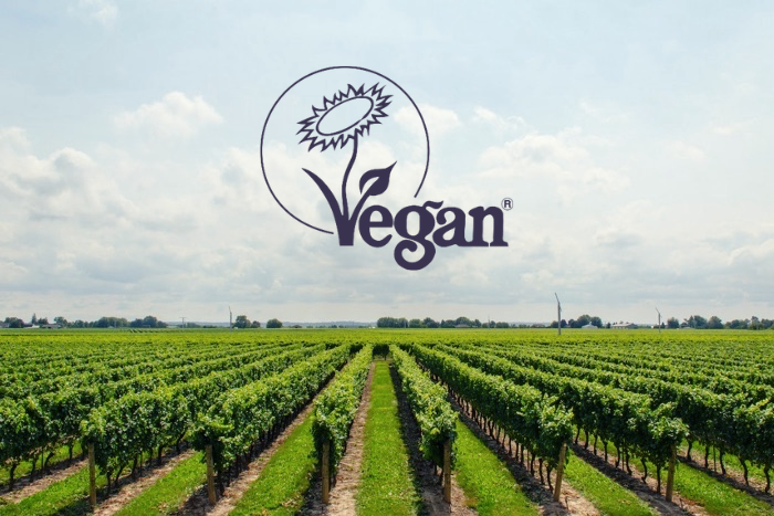 Vegan certified vineyards