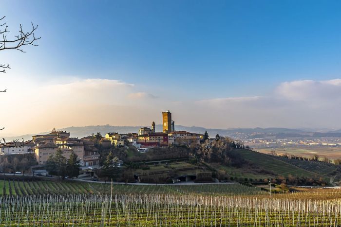 Gaja winery