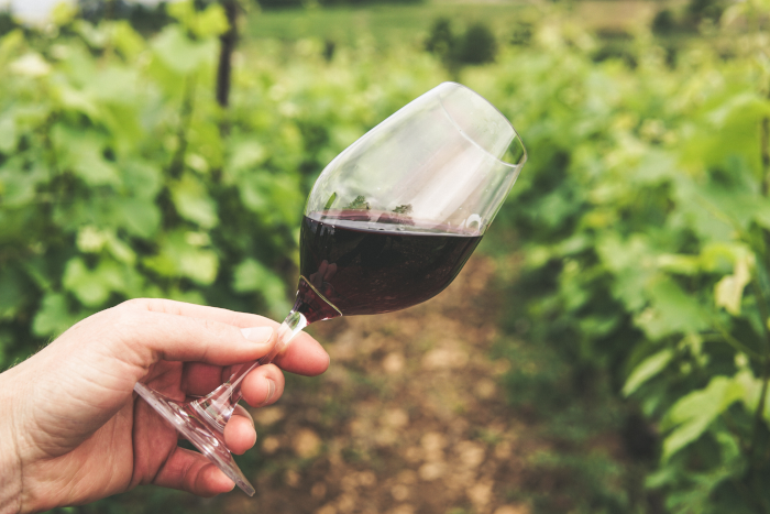 Hand holding a glass of red wine among the rows of vines in a vineyard. Photo by Grape Things from Pexels.