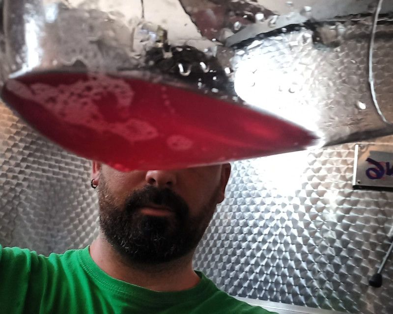 Colour of the rosé just bled off the tank after a 24 h maceration of White, Grey and Red Grenache grapes (Abrunet Rosat, Celler Frisach, Terra Alta).