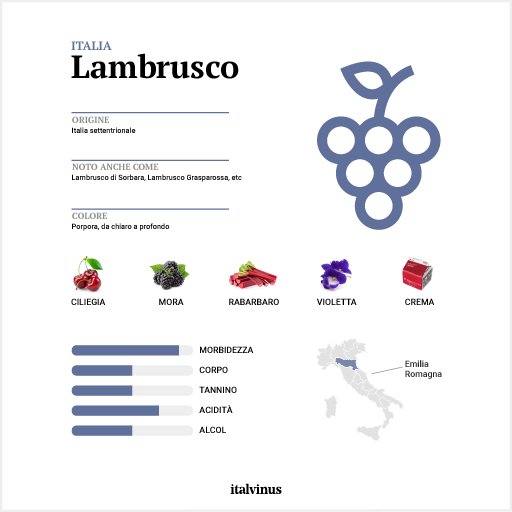 Lambrusco infografica
