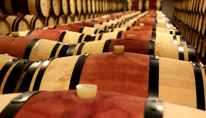 Rows of barrels in a cellar.