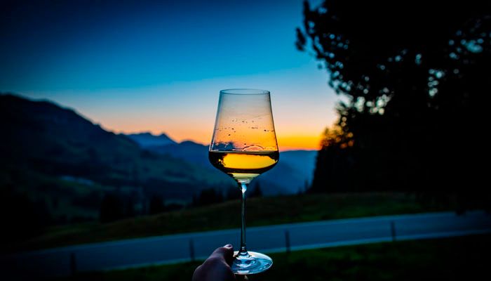  A glass held by a hand in front of landscape at dawn.