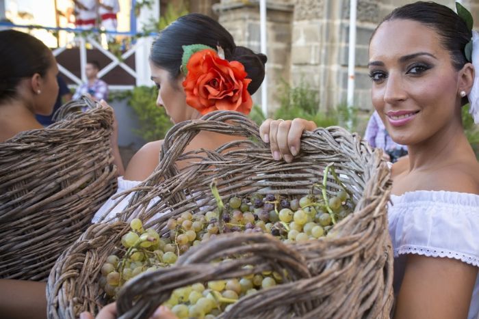 Wine harvest festival