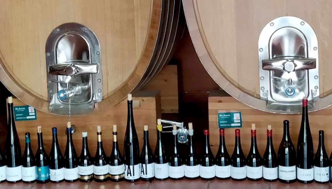 Colección vinos bodegas albamar