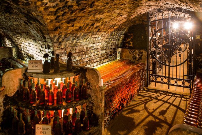 Tokaj Cellar