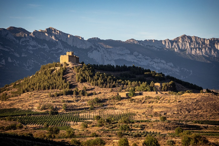 Rioja region vineyards