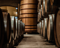 Wine Barrels: Types and Their Characteristics