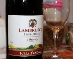 What is Lambrusco Wine?