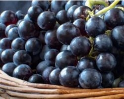 Il tempranillo: tutto sull'uva e i suoi vini