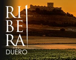 Todo lo que necesita saber sobre la Ribera del Duero y sus vinos