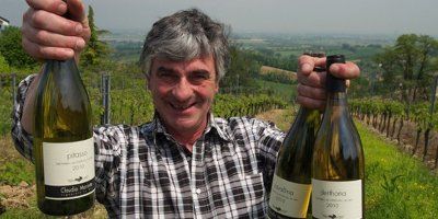 Wine from Claudio Mariotto · Vinissimus