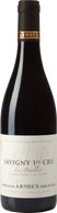 D. Arnoux Savigny Les Peuillets 2021