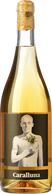 Caralluna 2017