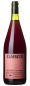 Cati Ribot Cambuix 2024 (1 L)