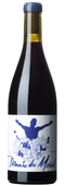 Domaine des Moriers Beaujolais-Villages 2021