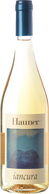 Hauner Iancura 2019