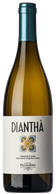 Pellegrino Dianthà 2019
