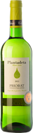 Plantadeta Roure Blanc 2024