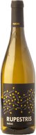 Pardas Rupestris Blanc 2019