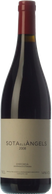 Sota els Àngels 2008
