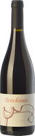 Tirachinas 2017