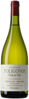 Zuccardi Polígonos Tupungato Sauvignon Blanc 2023