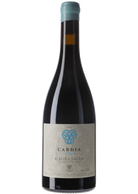 Adega Damm Cardia Capitana 2020