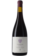 Adega Damm Cardia Uceira Viñas Viejas 2022