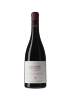 Adega Damm La Vieja Cantina 2022