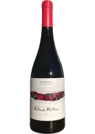 Antonio Montero Mencía 2025