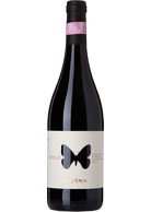 Ausonia Montepulciano d'Abruzzo Apollo 2018