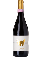 Ausonia Montepulciano d'Abruzzo Nostradamus 2015