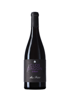 Clos d'Agon Syrah Mas Palet 2020