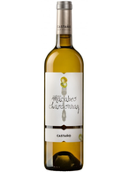 Castaño Blanco 2023