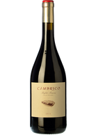 Cámbrico Rufete Pizarra Valleoscuro 2016