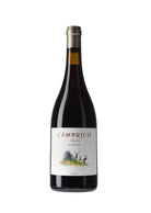 Cámbrico Miranda Rufete 2021