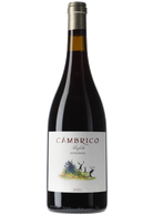 Cámbrico Miranda Rufete 2021