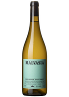 Cati Ribot Malvasia 2024