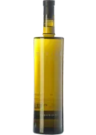 Davide Albariño 2024