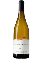 David Duband Coteaux Bourguignons Blanc 2024