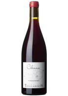 Domaine Thillardon Chénas Vibrations 2022