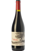 La Encina del Inglés 2024