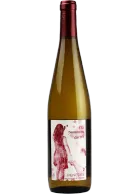 No T`Enamoris de Mi 2024