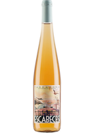 Vinyes del Tiet Pere Escabeces Vermell 2022