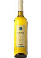 Flavus 2019