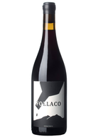 Frontio Follaco 2023